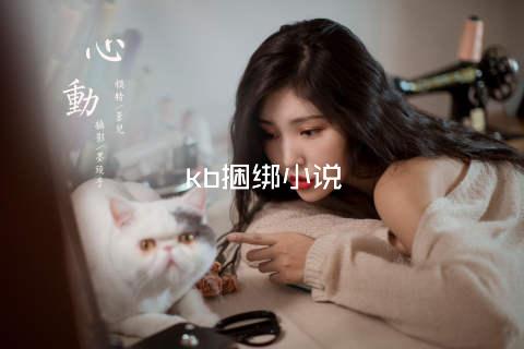 kb捆绑小说